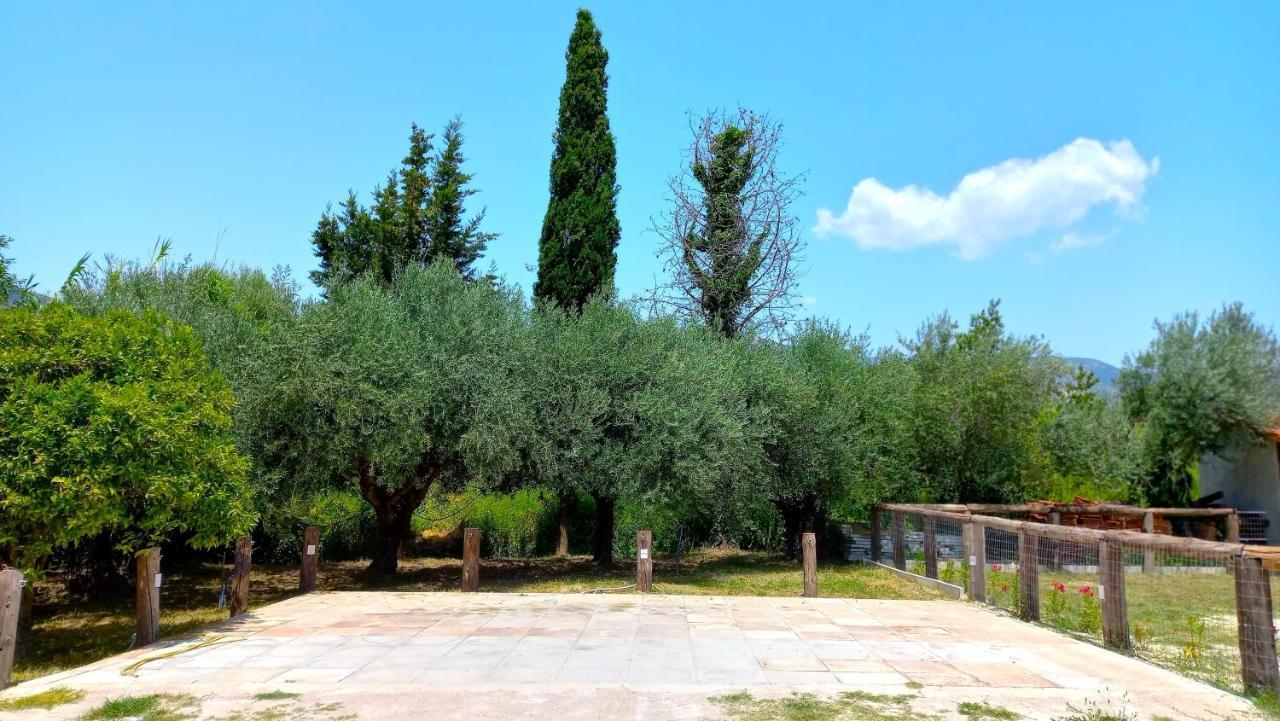 Platanos Vasilikí Exterior foto